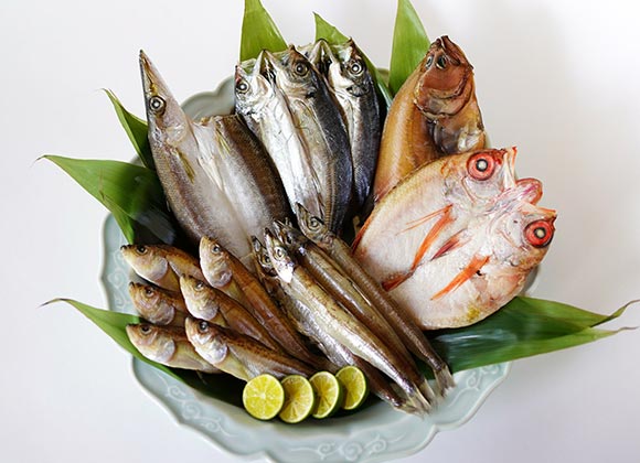 北陸の海の幸を詰め込んだ干物たち