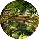 こおろぎ橋