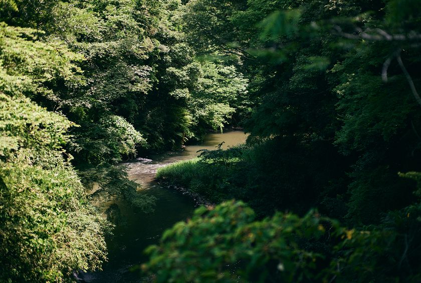 Yamanaka Onsen