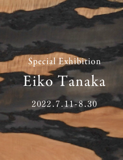 Special exhibition Eiko Tanaka ／田中瑛子｜2022.7.11-8.30｜