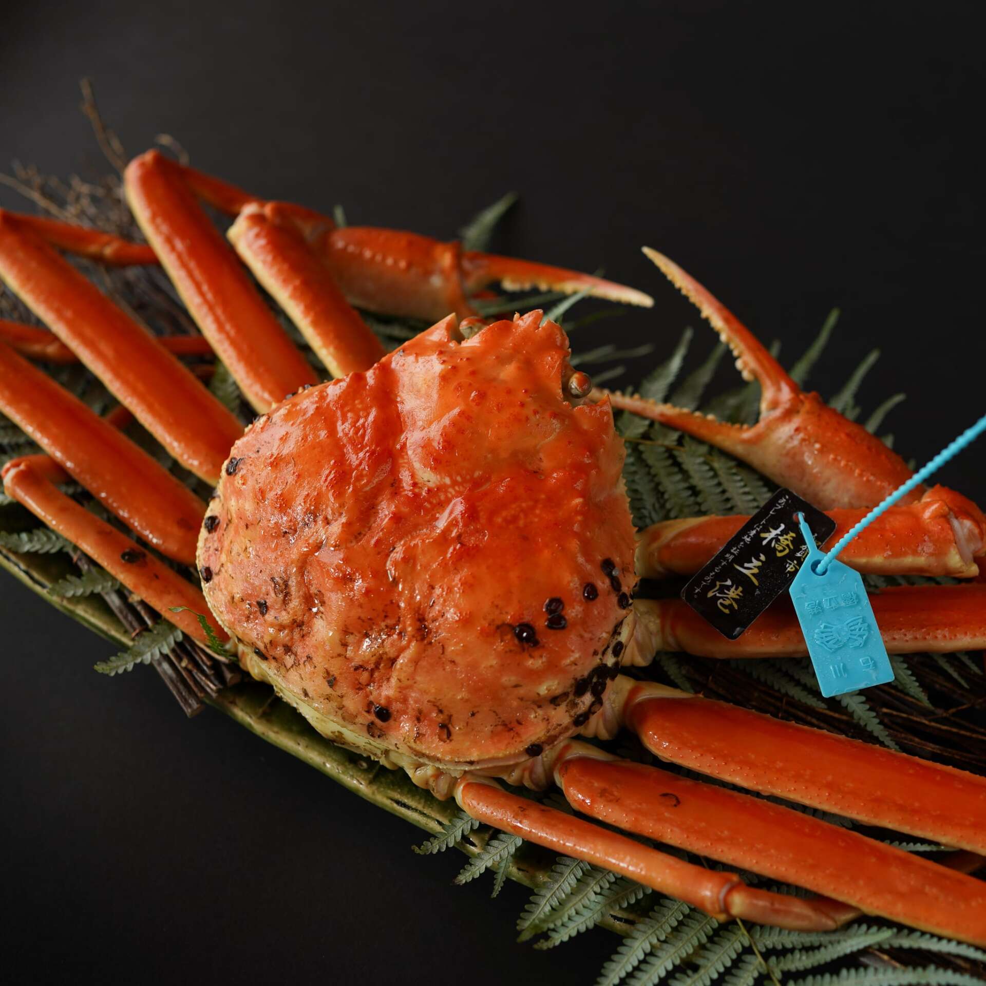 貴重 未使用品 蟹歩作 硬式 稀作 紫陽花 節巻 4本継 133寸 1960年製 1_000000000431.jpg?1740724874